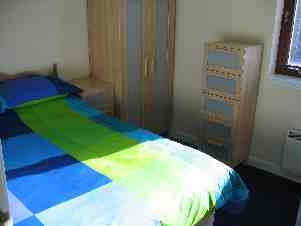 36 Ayr Street - double bedroom 2