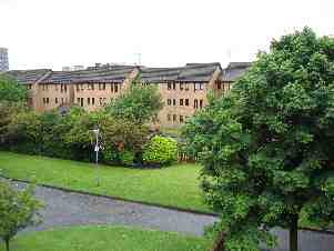 View from flat